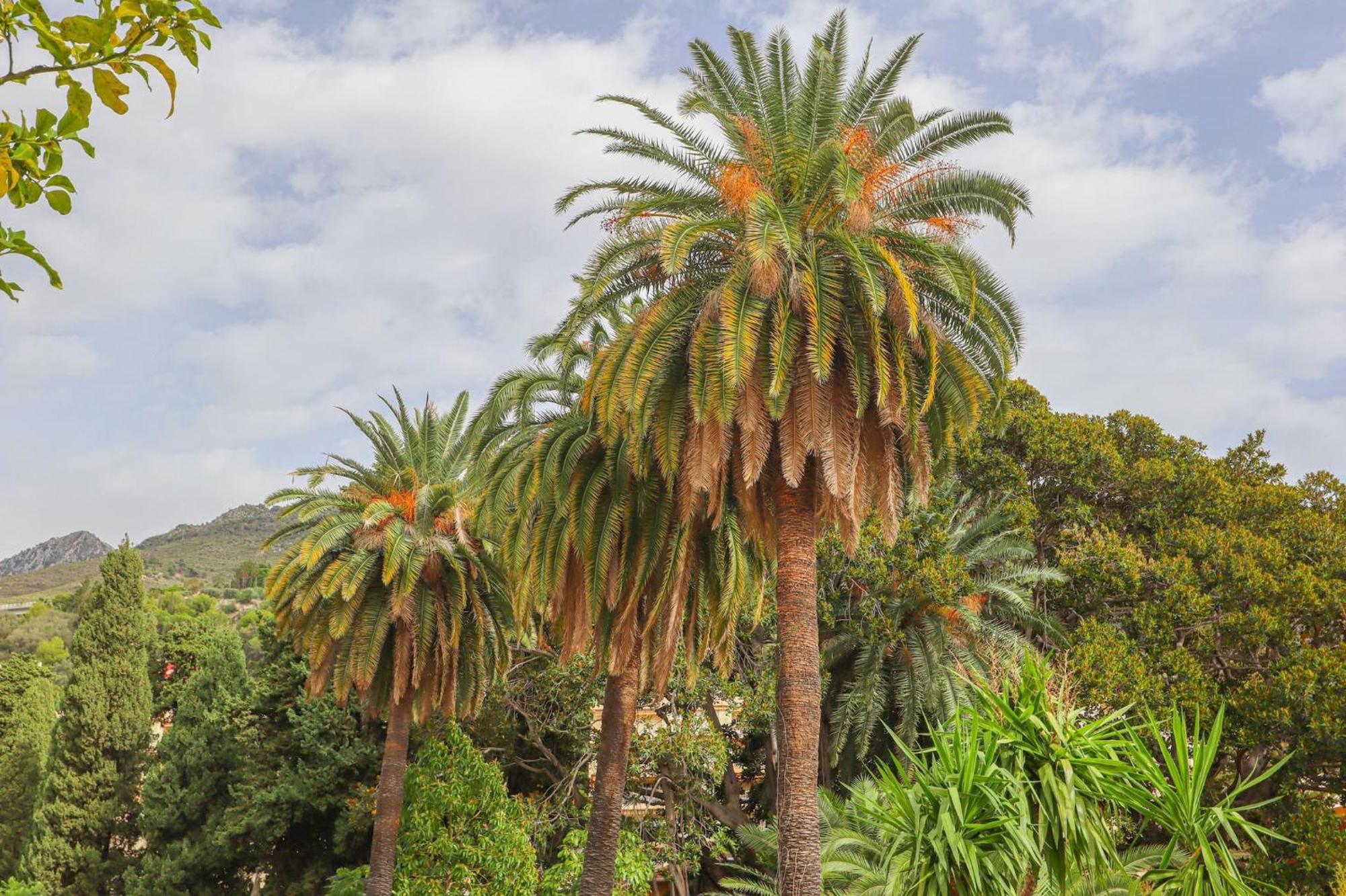 "Le Garavan Palace" Idyllique, Proche Gare Et Plage Menton Exterior foto